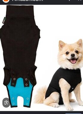 MPS Medical Pet Post Surgery Recovery Suit -  Dog
